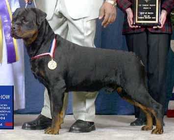 Multi BIS/BISS Select 1 CH Carter's Noble Shaka Zulu