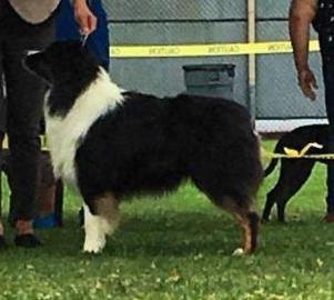 Blessedhope's Is Diesel Powered