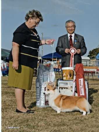 Merthyr Wanda Be Frilly Nikas