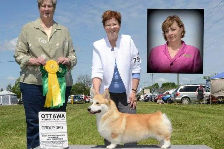 CAN BISS GChB Curig Faerietale Highland Heir