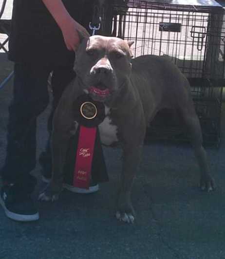 MISTRESS MAYHEM MCNASTY