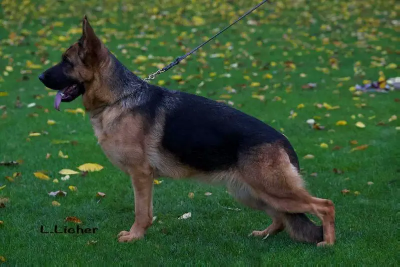 Paris vom Klostermoor