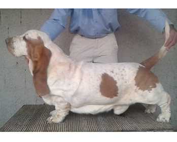 Park Melody I Have All My Life To Live