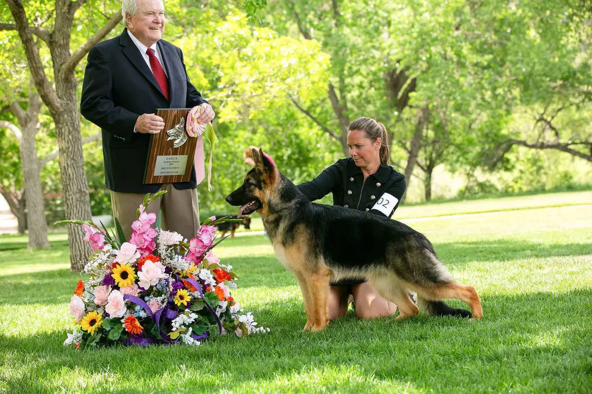 Champion Kenlyn's Tell Me Lies Lockenhaus