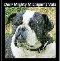 Mighty Michigans Vala