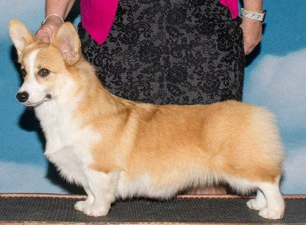 Gwyndolyns East Of Eden