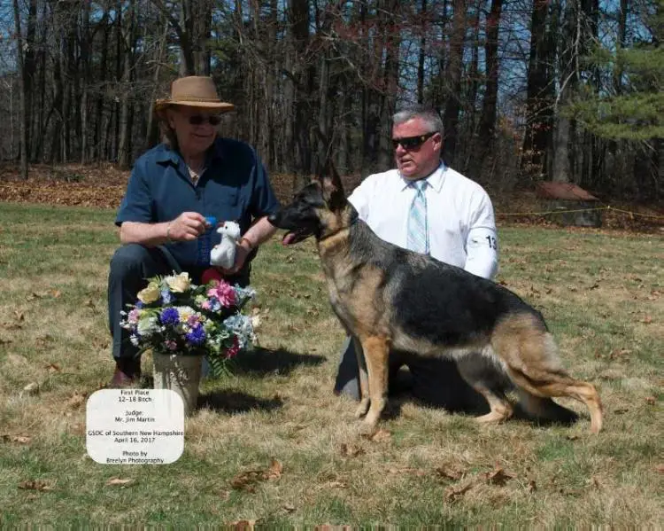 CH Kysarah's Play With Fire