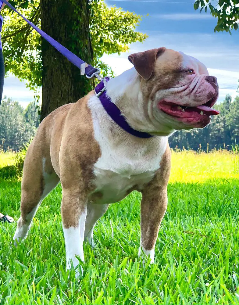 Cole Creek’s Finley