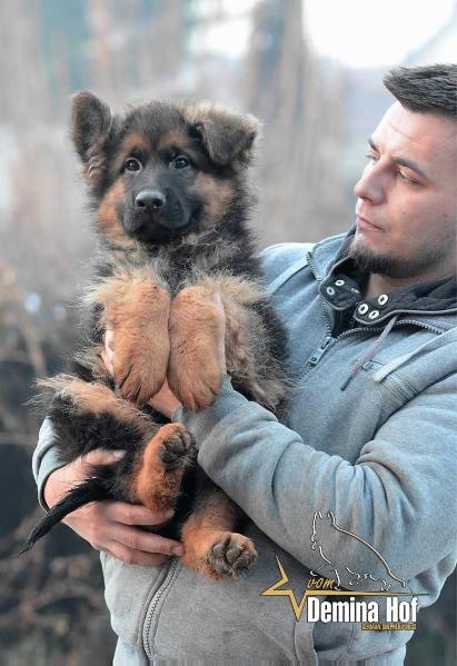 Lotus Team vom Demina Hof