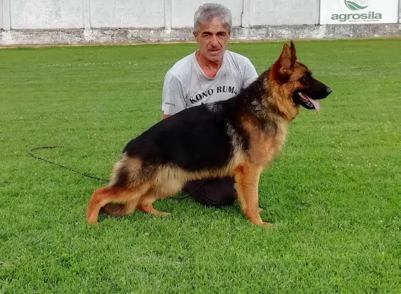 Darling Sremska