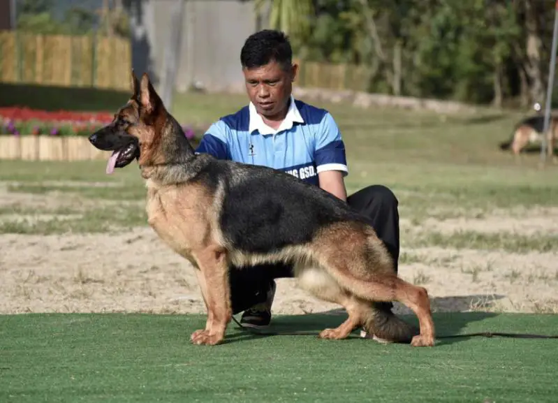 V1(TH), SG1(TH) Escada Von Michael Burg