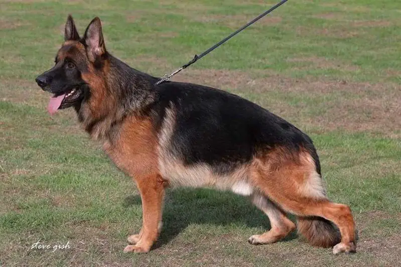 V Costa vom Haus Cerba