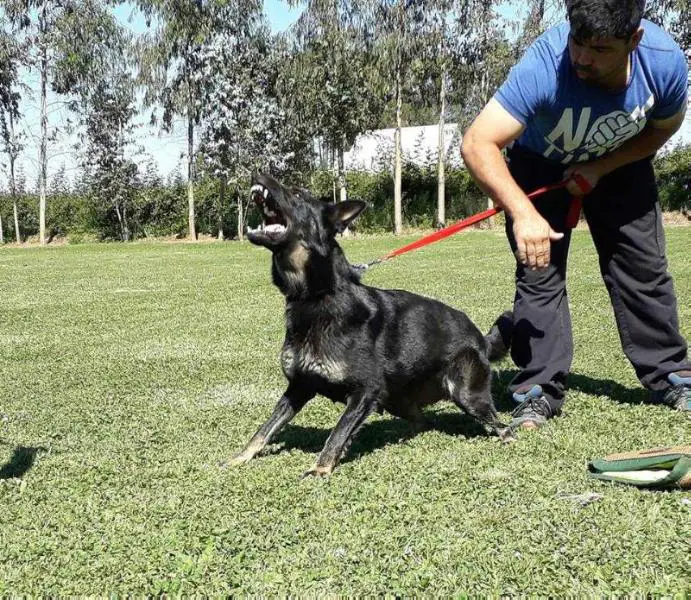 Oriana Von Haus Jaragon