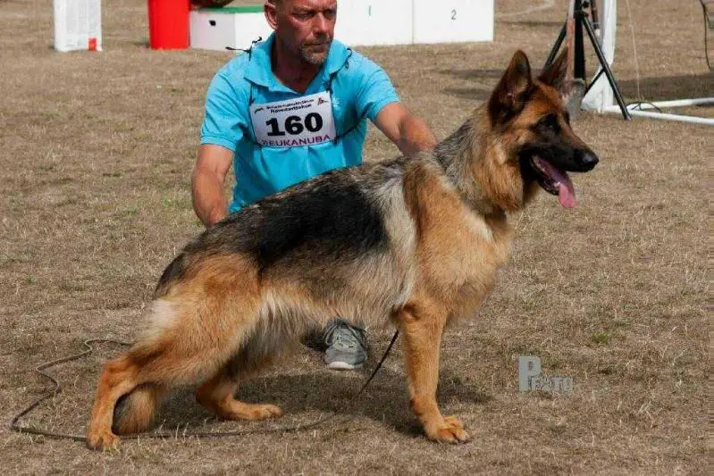 V Mi Roca Xorba Bolivia