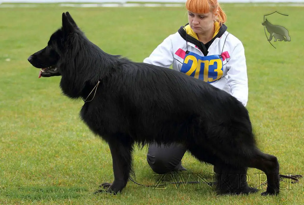 Zilber Wasserfall ETIEN