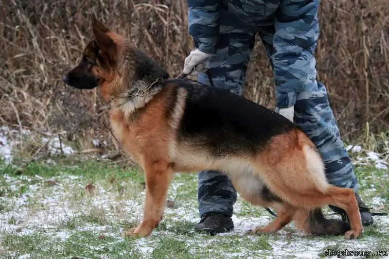 Zilber Wasserfall Handy