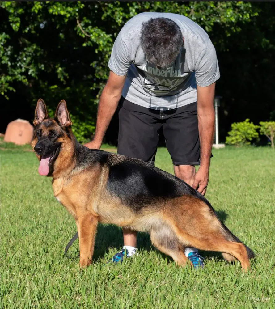 VA4 ARG 2023 Ybella v. Nürburgring