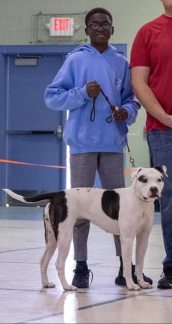 RJ'S RASCALS FOXXY ROXXY