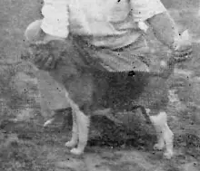 Hobby Hollow Miss Sapper