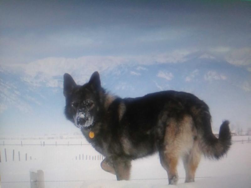 V Lolo Vom Kraftwerk