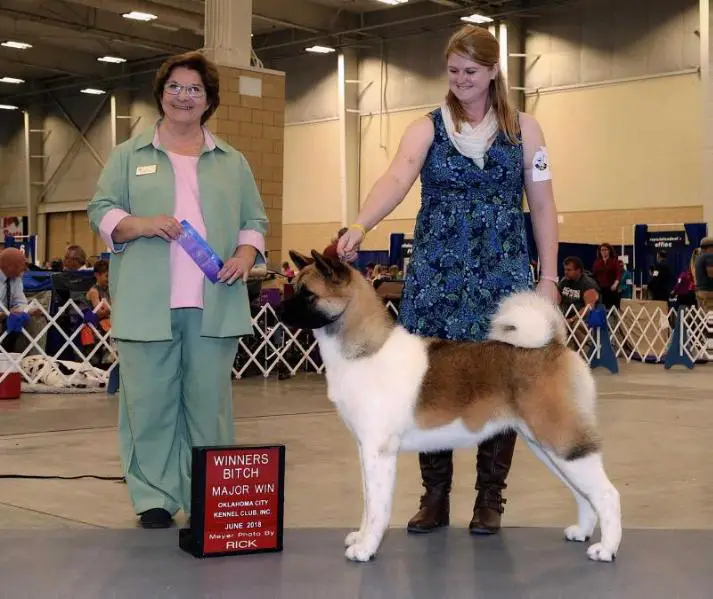 AKC CH Quantum's Kiss The Stars