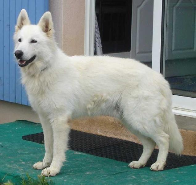 Very Versace's Cracker Joe