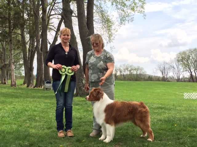 AKC/ASCA CH Buff Cap Santa Fe Sunset