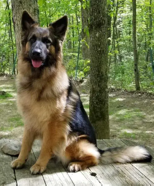 Bella Luna Vom Haus Patchwork