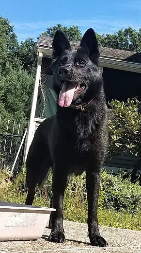 Demi Von Nordosten