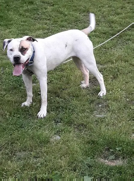 Fuqua's Tessa of KLK