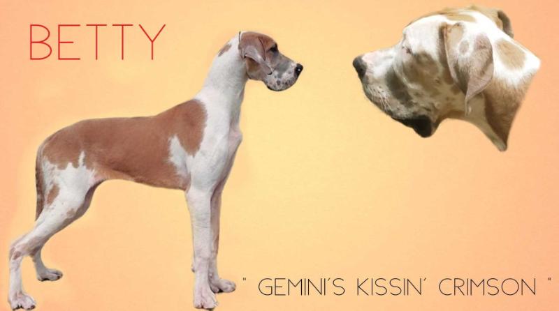 Gemini's Kissin' Crimson