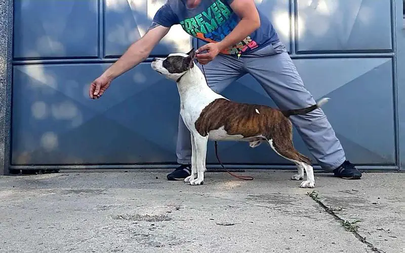 Alcatraz of Collateral Damage