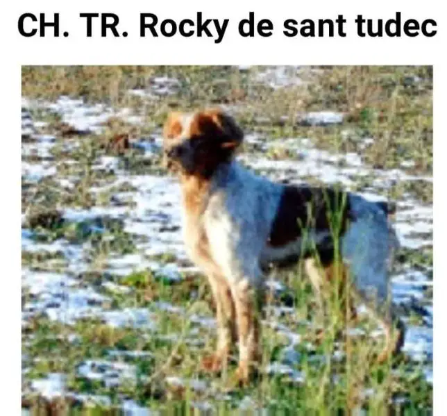 CH.TR. ROCKY de Sant Tudec
