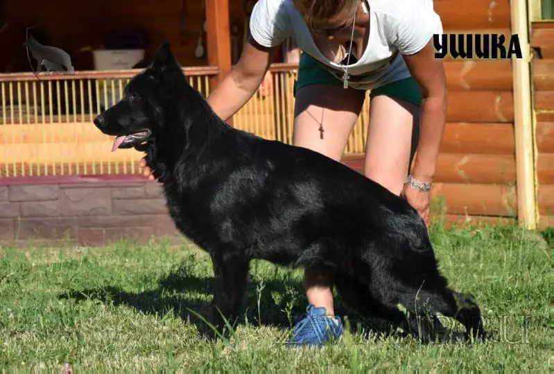 Team Zilber Wasserfall USHIKA