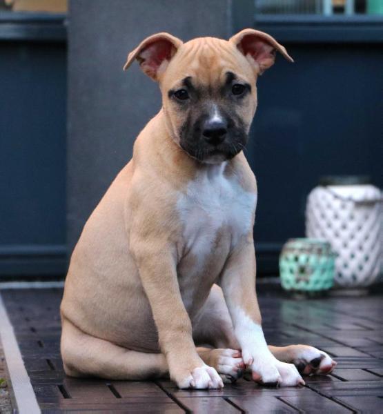 Red Hot And Cool From Nature's Finest