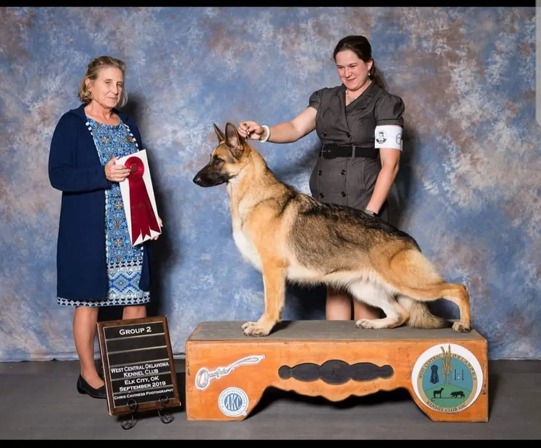 CH Chablis Jessica Rabbit Schneiderhof