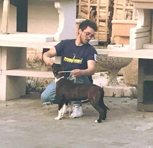 Lievore's edition habanera