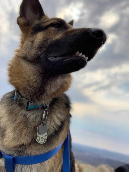 Keizer Zeus Strahl Von Valor