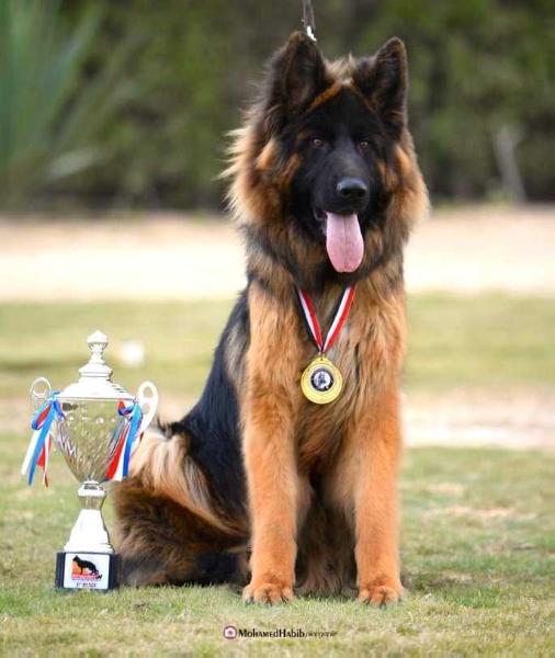 Usher Vom Altenberger Land