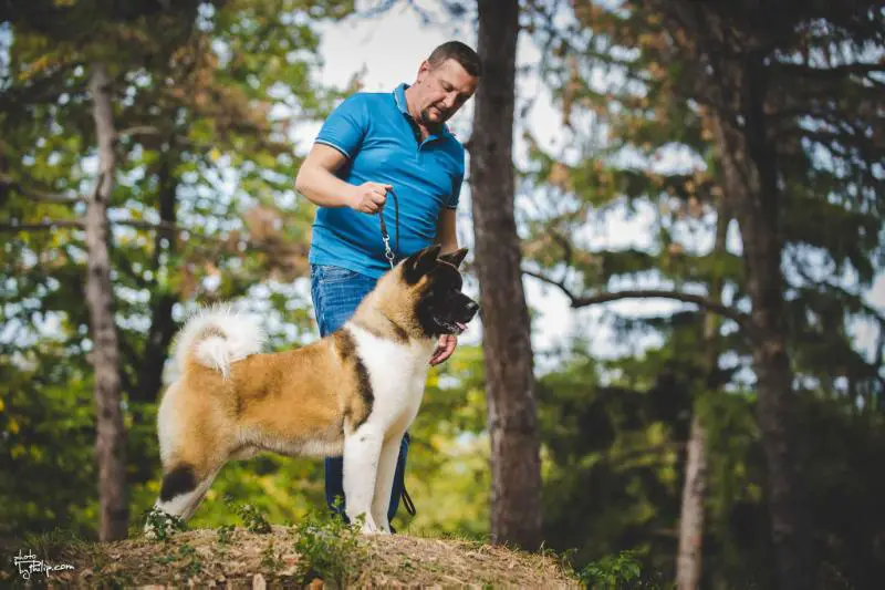 Triumf Sibiri Efimka