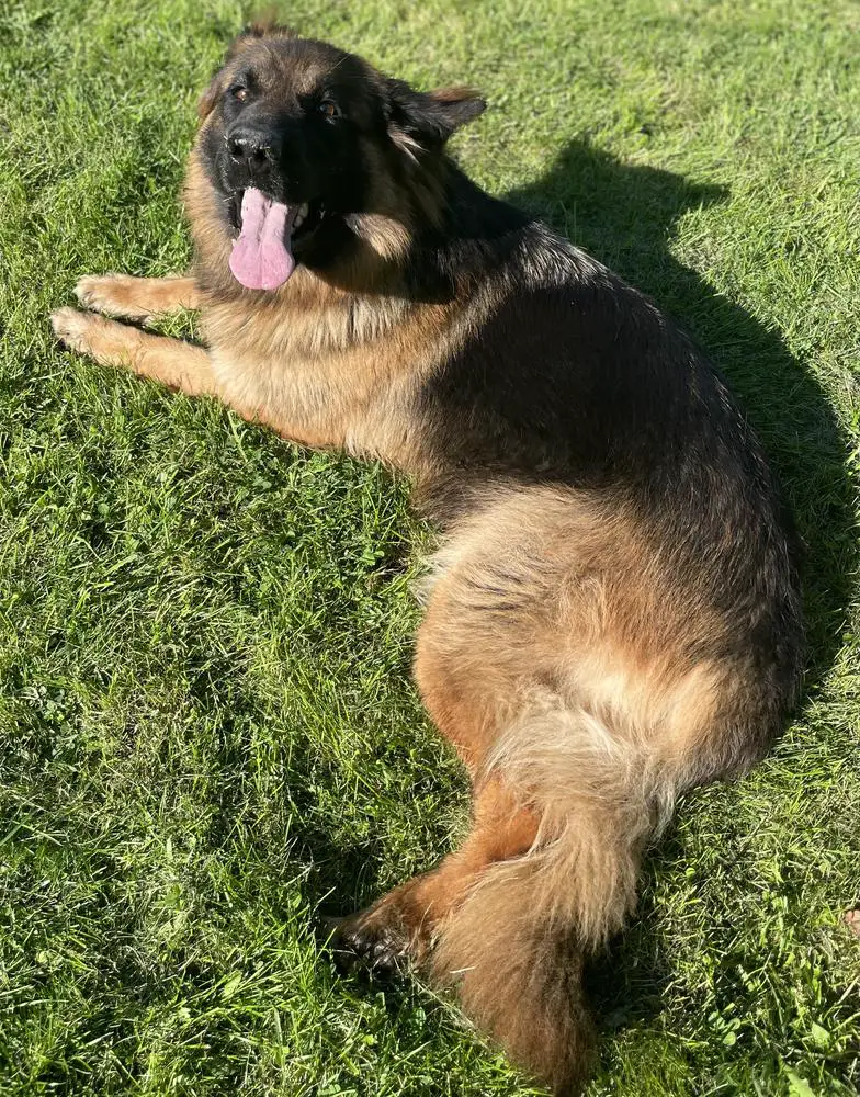 Doriana von Commisso