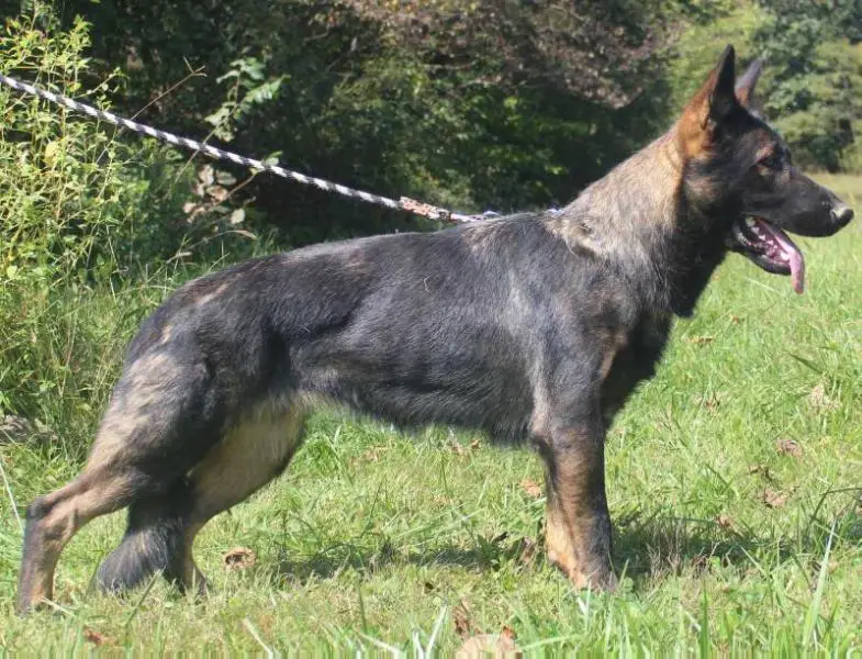 Zoey Von Buffalo Creek