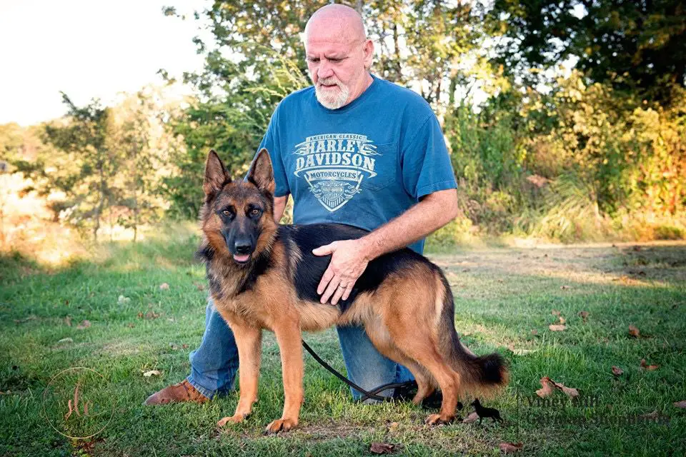 Viney Hill’s Naissa