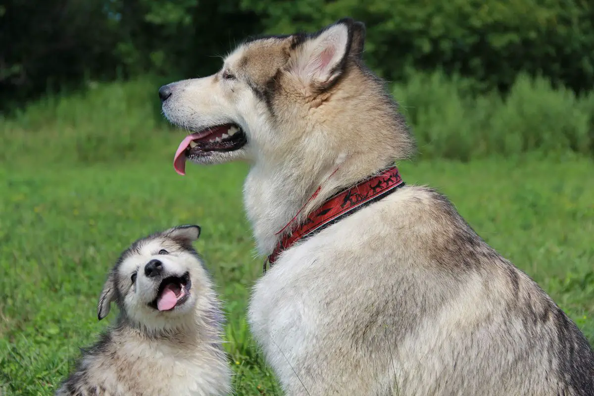 FANTINA OT FILIPPOVOY