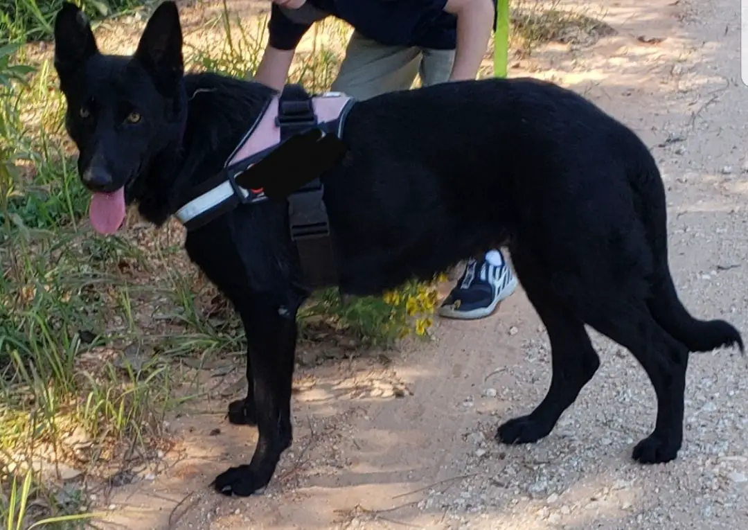 K&k’s Skyline Delta