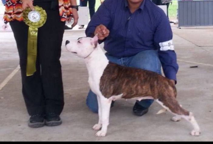 Khali Pragna Maldonado