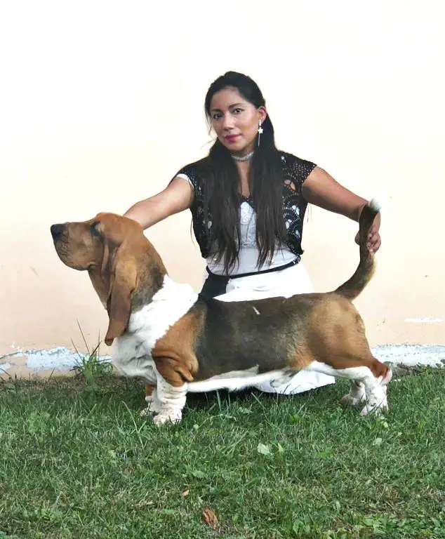 IT. CH. Terra d'Orfili Maximus