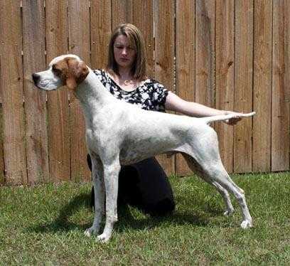 O'Morion Galaxy Star