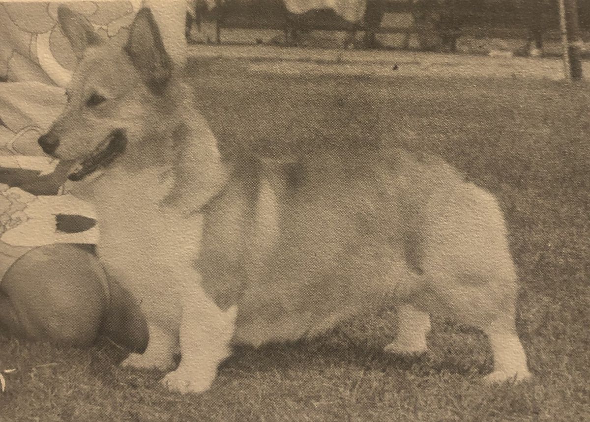 CH Halmor Pathfinder