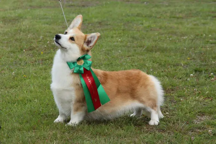 CLOUDMOORE BE MY LOVER